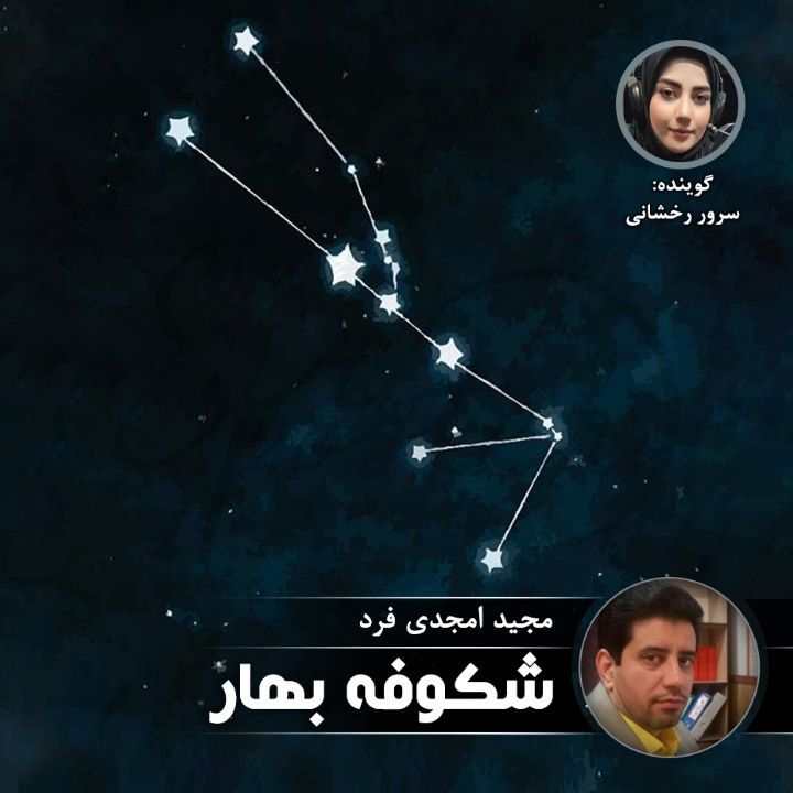 شكوفه بهار