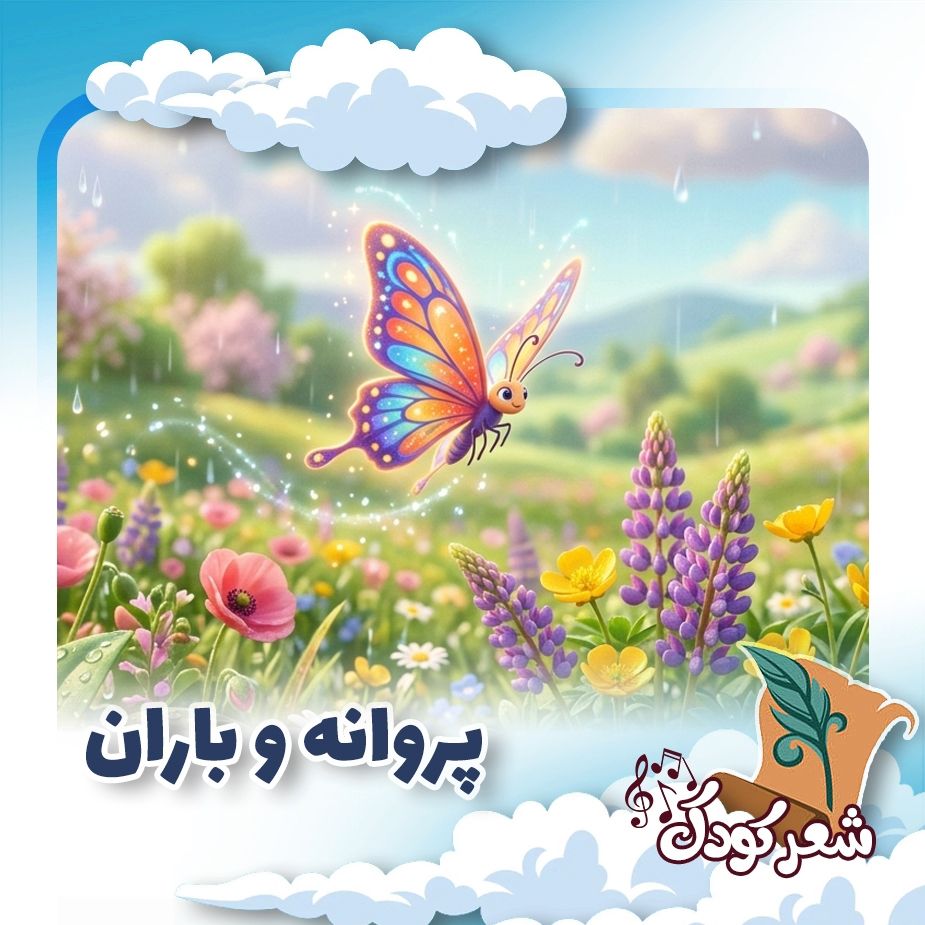 پروانه و باران