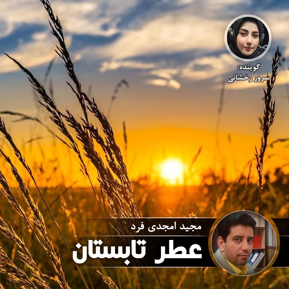 عطر تابستان