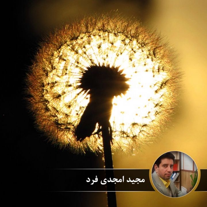 نشید عشق
