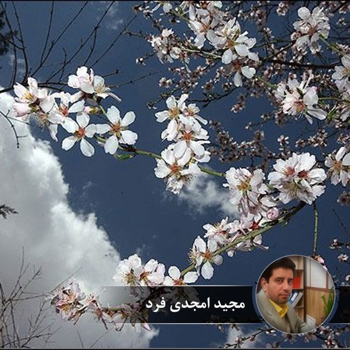 بهار نارنج
