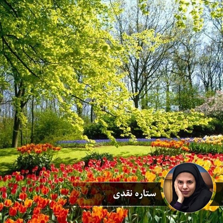 زیر پوست بهار