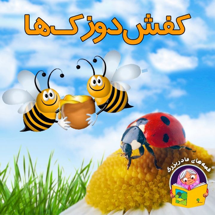 کفش دوزک ها 