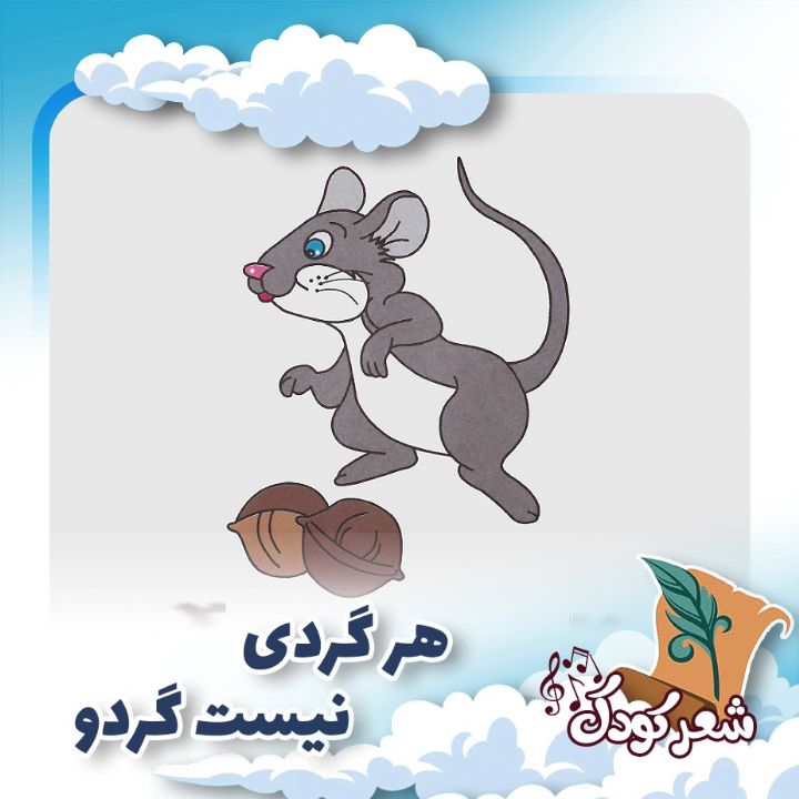 هر گردی نیست گردو 