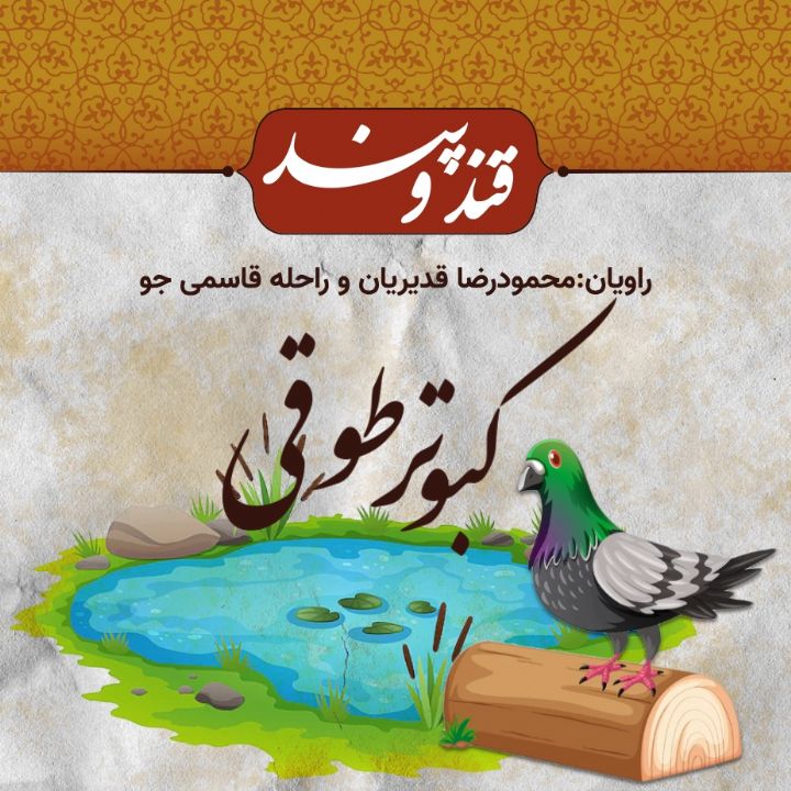 کبوتر طوقی