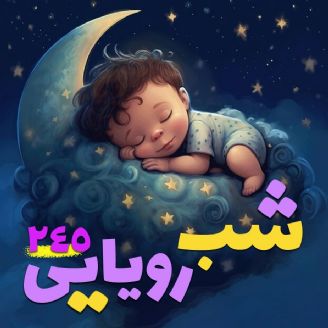 شب رویایی 245 