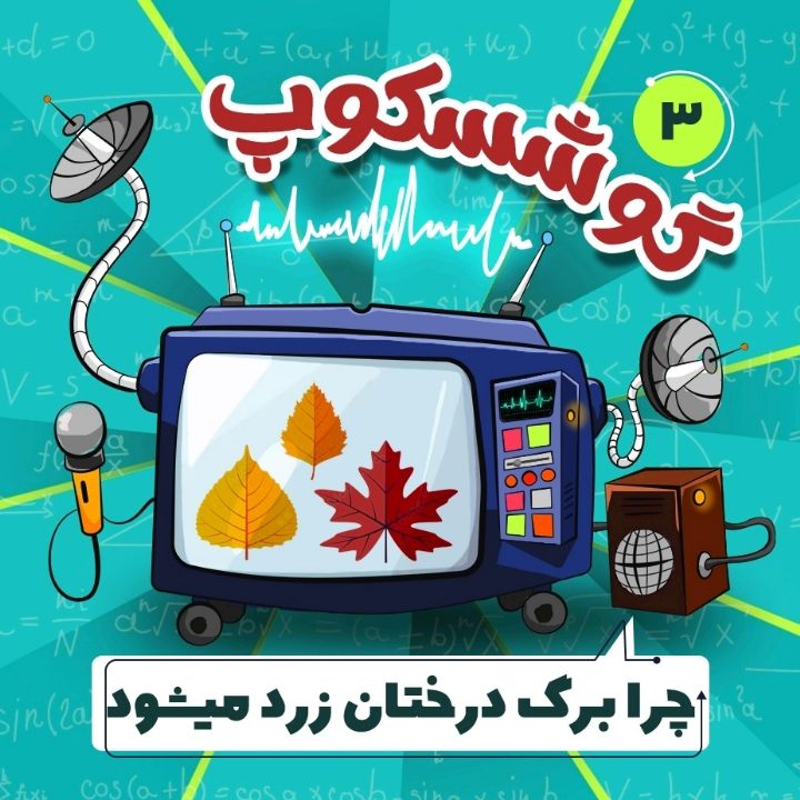 چرا برگ درختان در پاییز زرد می شود؟