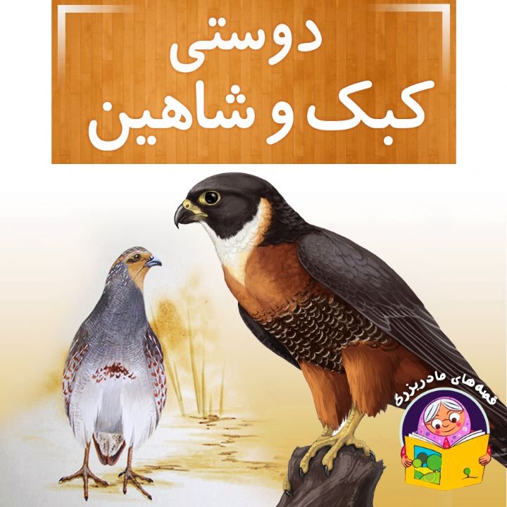 دوستی کبک و شاهین