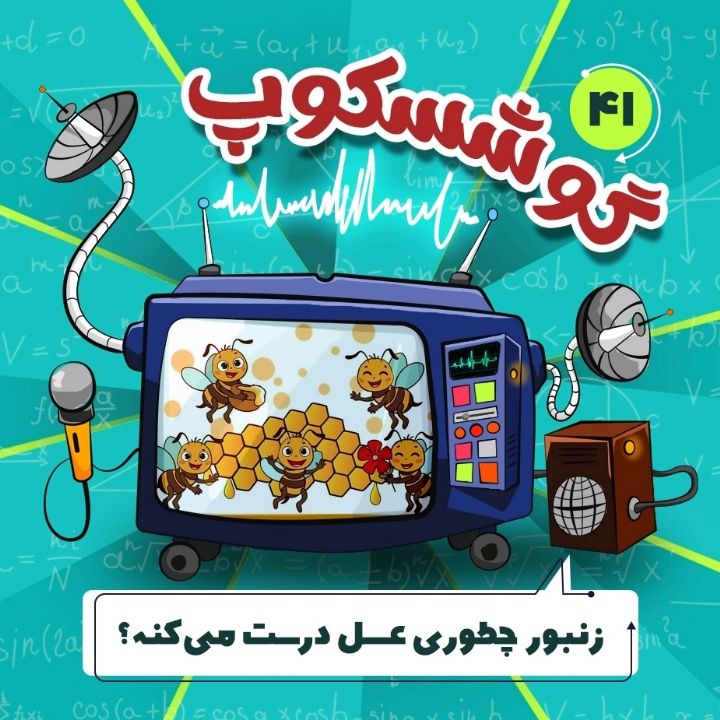 زنبورعسل چطوری عسل درست می‌کنه؟ 