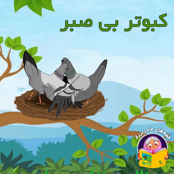 کبوتر بی صبر