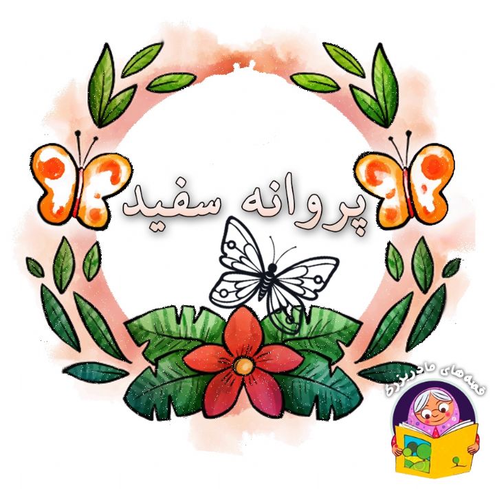 پروانه ی سفید 