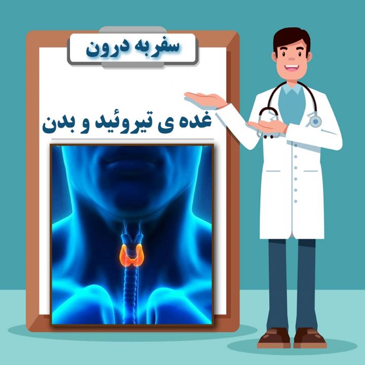 غده ی تیروئید و بدن