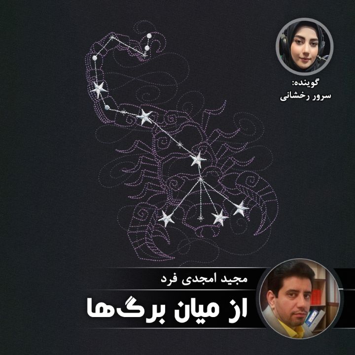 از میان برگ ها