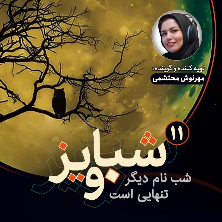 شب نام دیگر تنهایی است ( شباویز - قسمت 11)