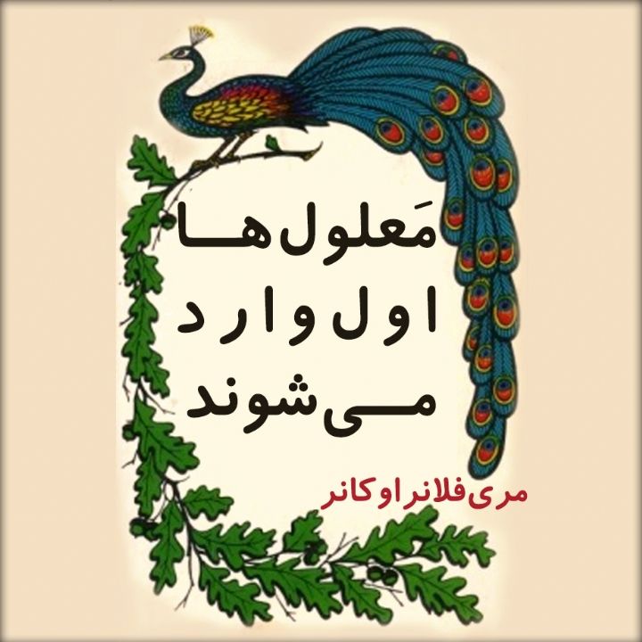 معلول ها اول وارد می شوند