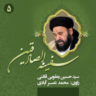 سفینه الصادقین: شرح حال آیت‌الله حاج سید حسین یعقوبی قائنی(جلد پنجم)