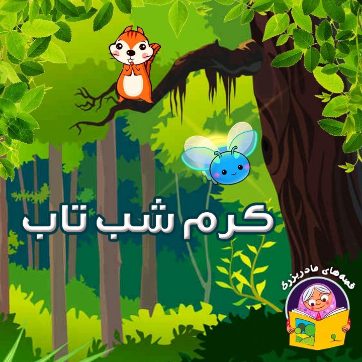 کرم شب تاب