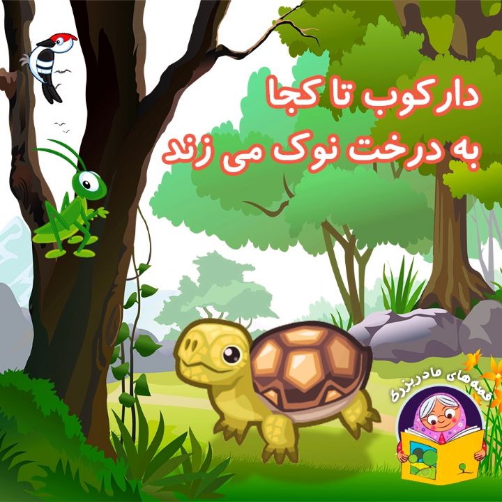 دارکوب تا کجا به درخت نوک می زند