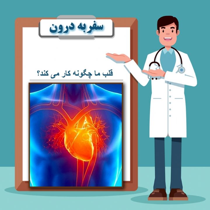 قلب ما چگونه كار می كند؟