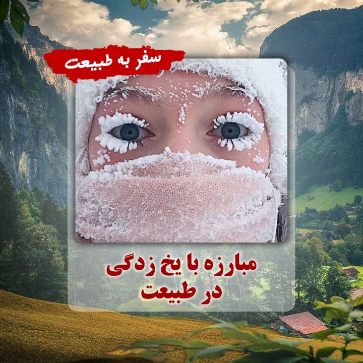 مبارزه با یخ زدگی در طبیعت