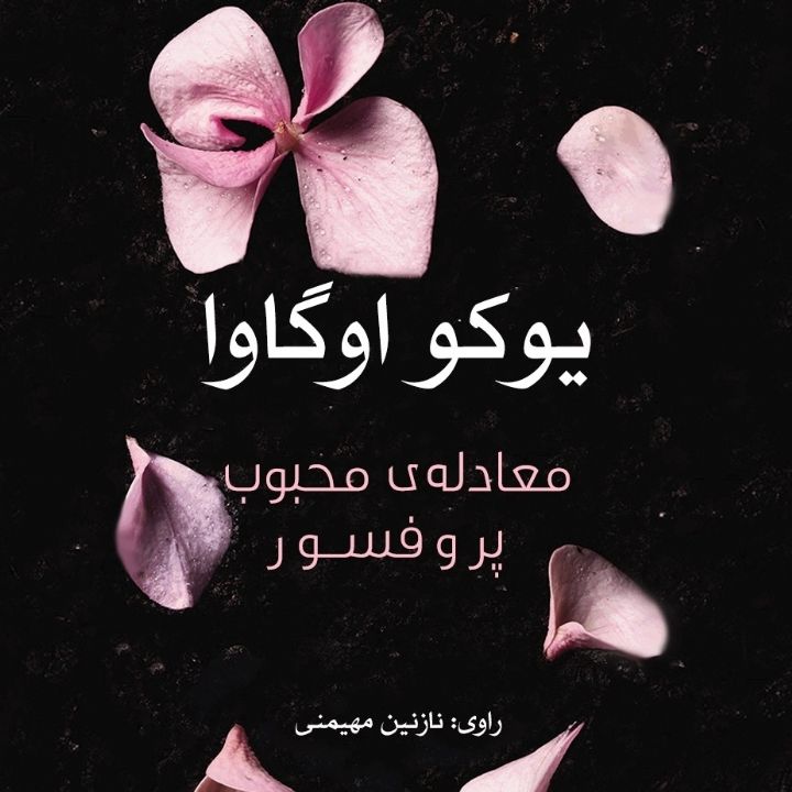 معادله‌ی محبوب پروفسور