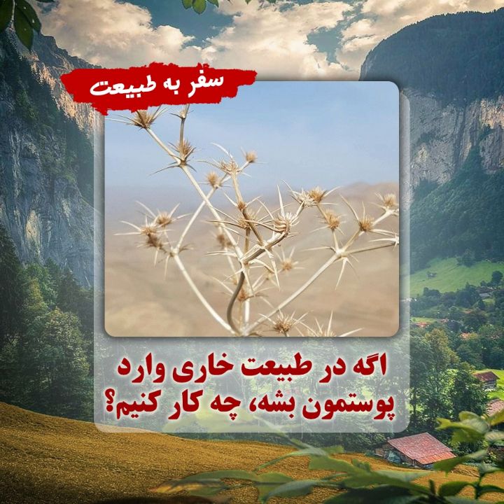 اگه در طبیعت خاری وارد پوستمون بشه، چه كار كنیم؟