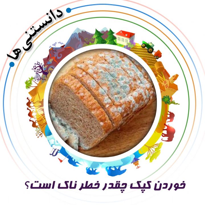 خوردن كپك چقدر خطر ناك است؟