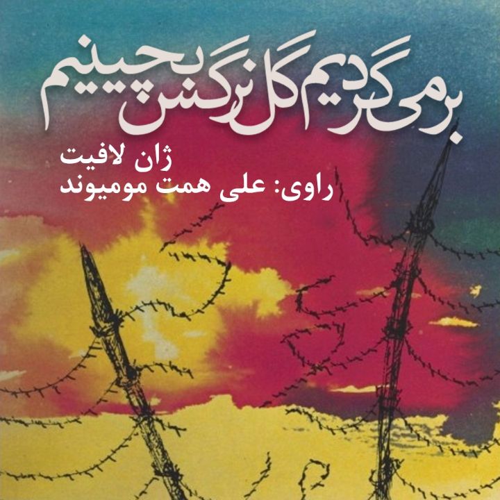 برمی‌گردیم گل نرگس بچینیم