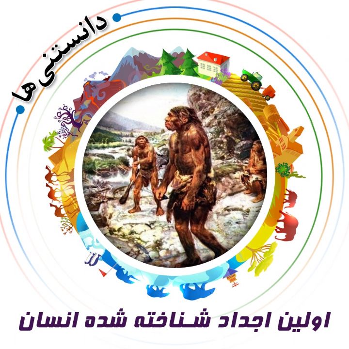 اولین اجداد شناخته شده انسان