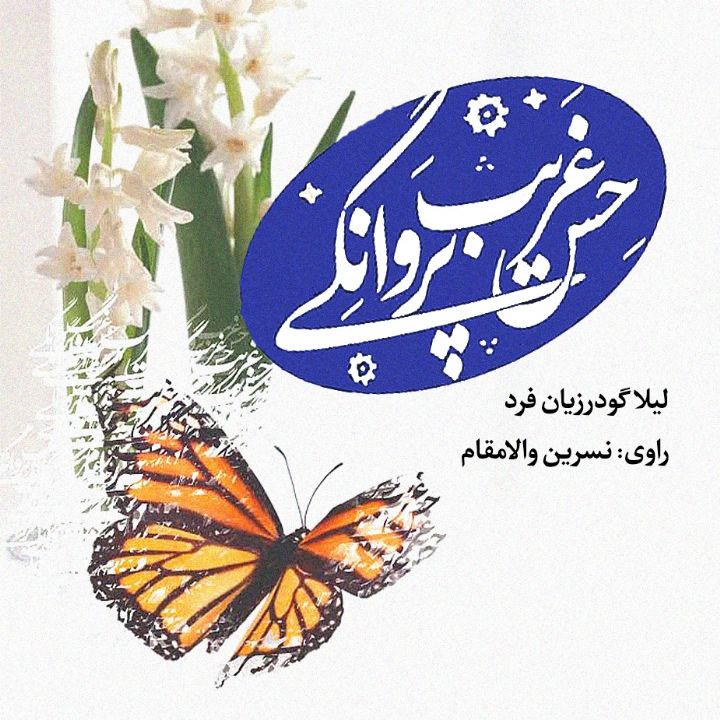 حس غریب پروانگی