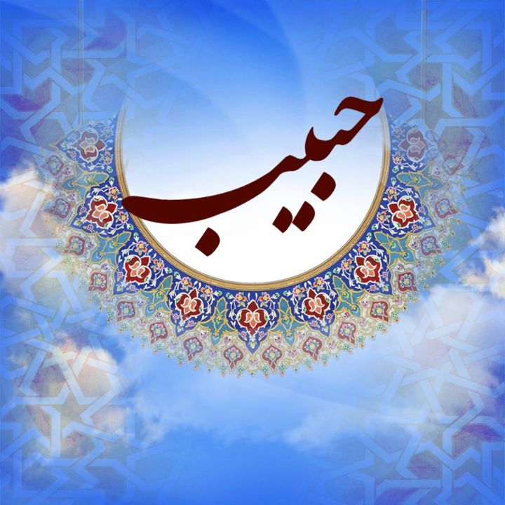 حبیب 