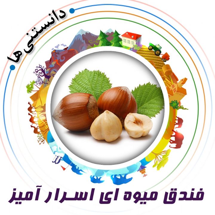 فندق میوه ای اسرار آمیز