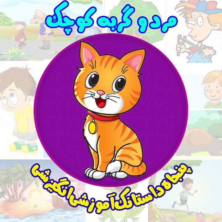 مرد و گربه ی كوچك