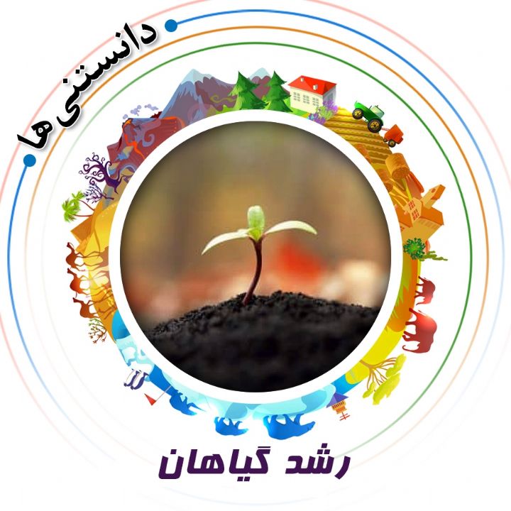 رشد گیاهان