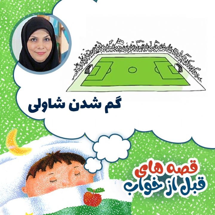 گم شدن شاولی