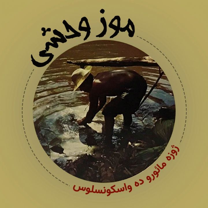 موز وحشی