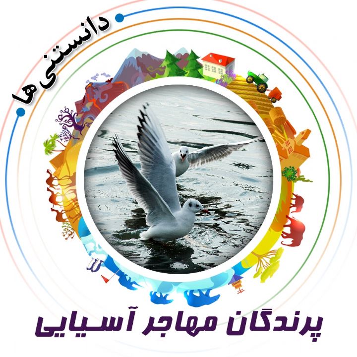 پرندگان مهاجر آسیایی