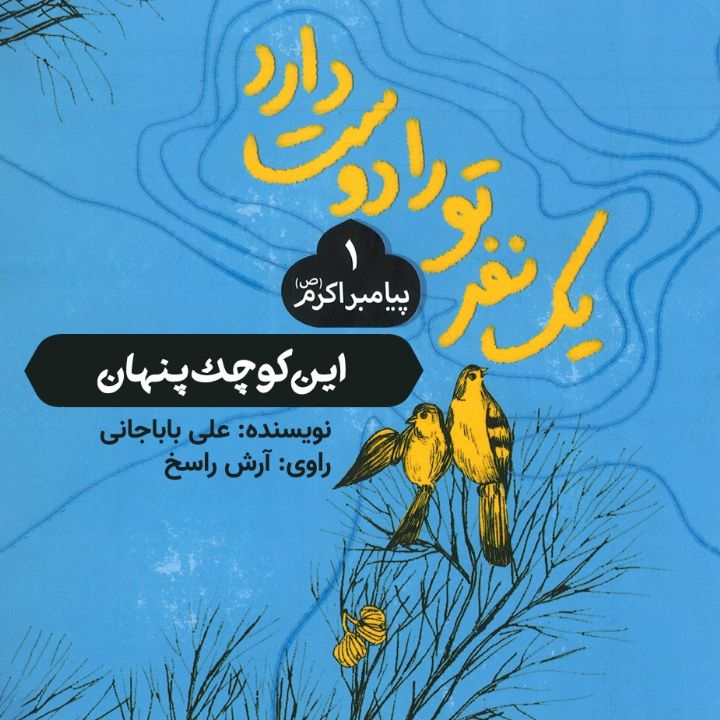 این كوچك پنهان