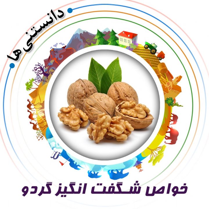 خواص شگفت انگیز گردو