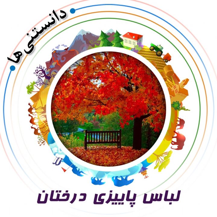 لباس پاییزی درختان