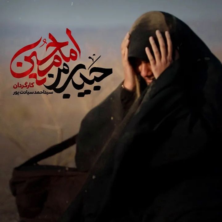 حبیب من امام حسین