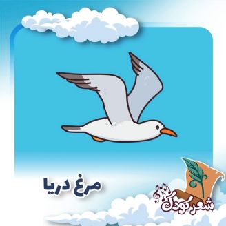 مرغ دریا