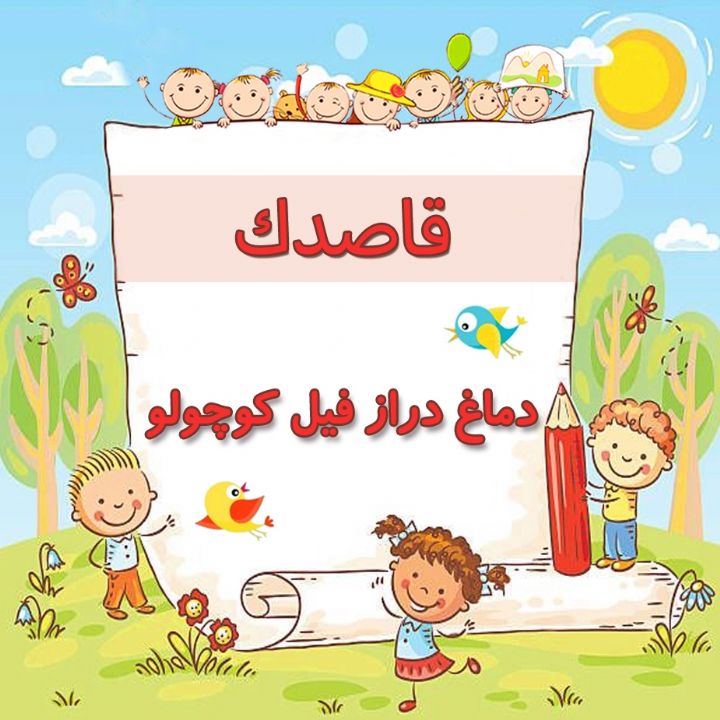 دماغ دراز فیل كوچولو