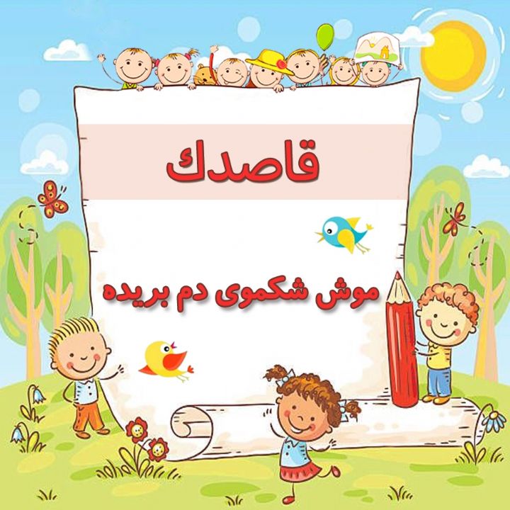 موش شكموی دم بریده